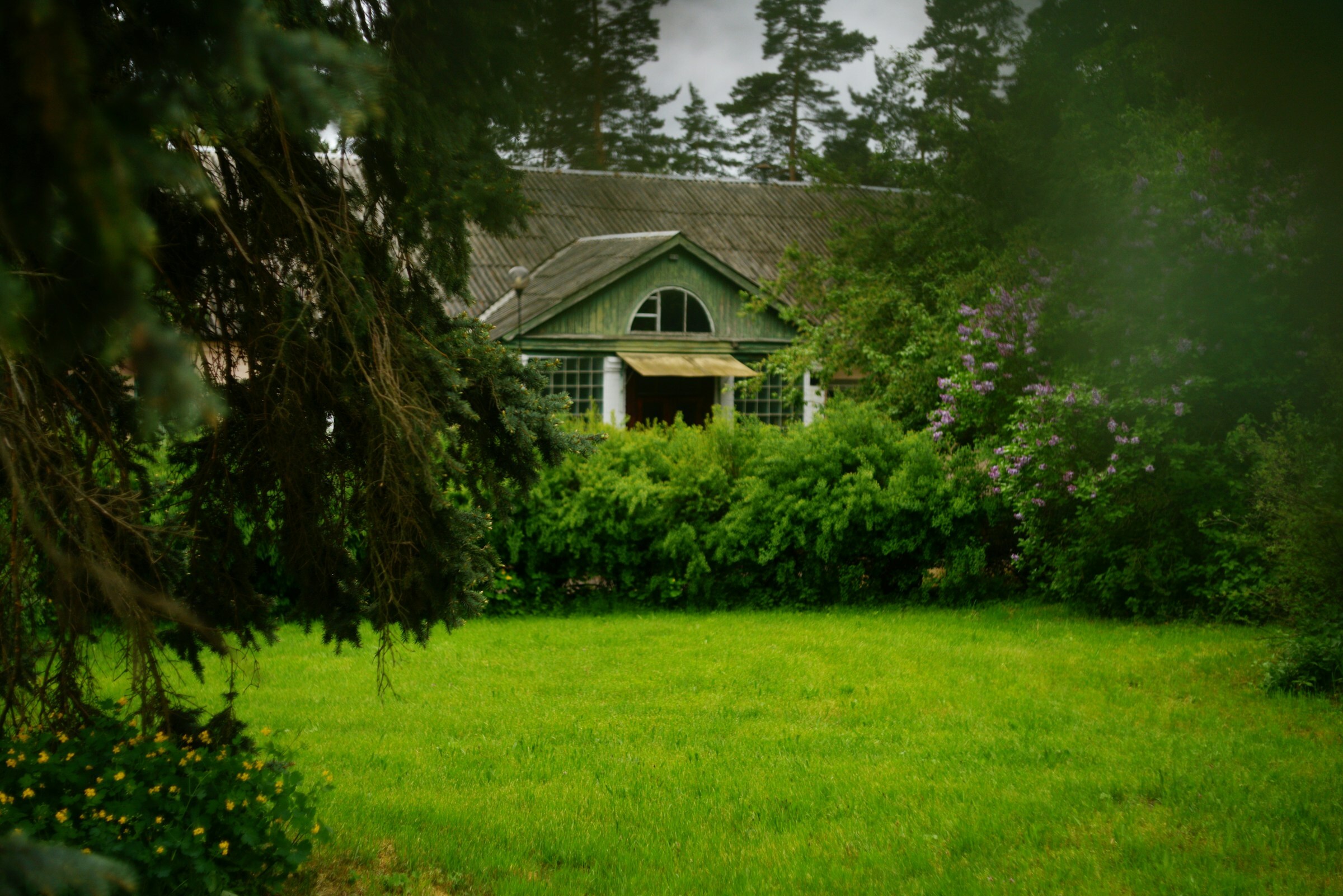 Buying a Home With a Well and Septic System in Rural Western New York: What to Check Before Closing Buying a Home With a Well and Septic System in Rural Western New York: What to Check Before Closing